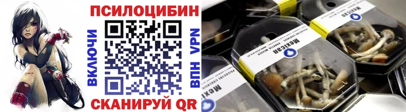 Купить закладки  Зуевка  Псилоцибиновые грибы Magic Shrooms 